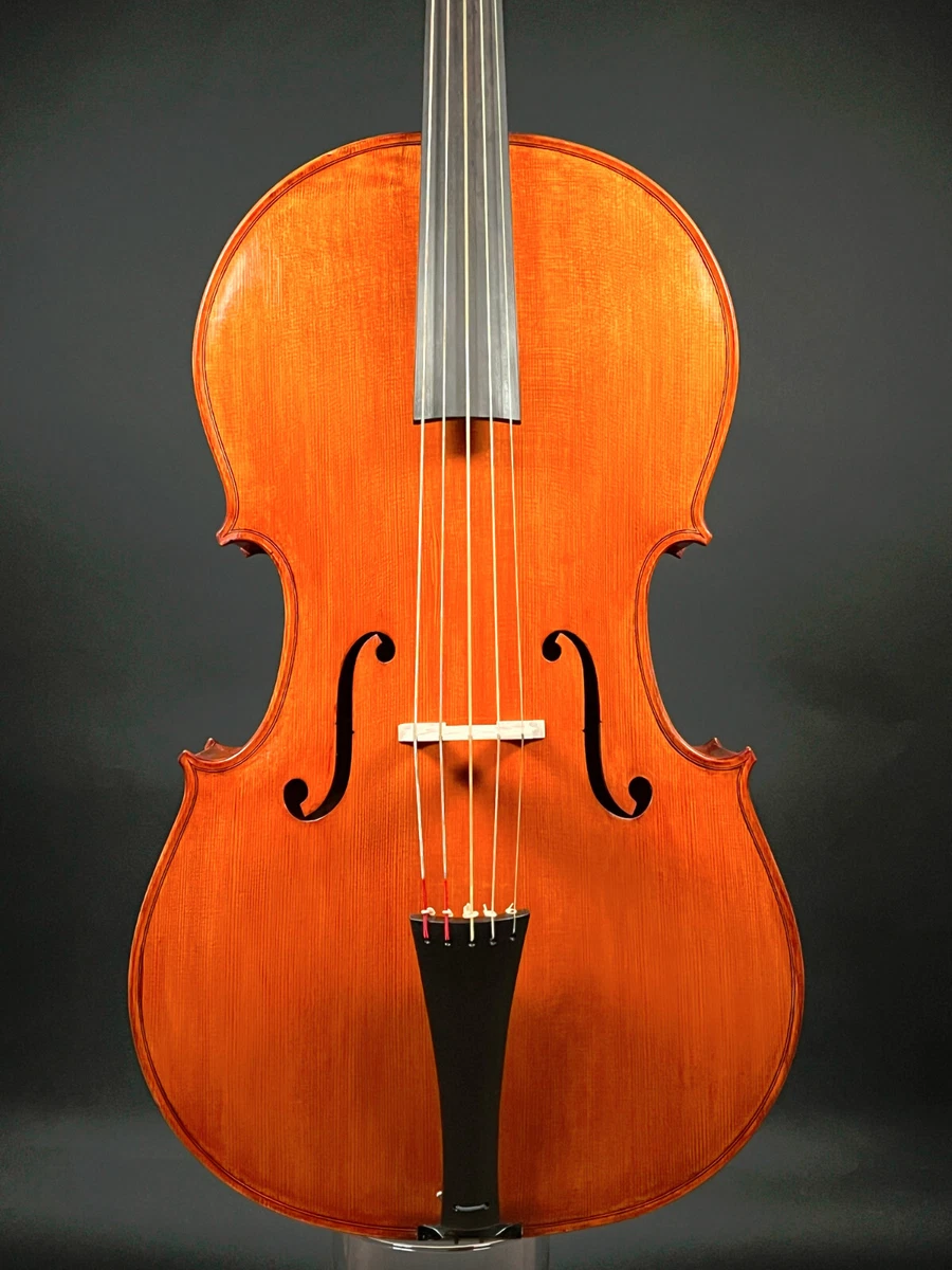 Reghino 5Saiter Cello Piccolo Meisterarbeit From Ro