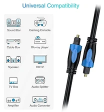 BlueRigger Digital Optical Audio Toslink Cable (100FT, Fiber Optic Cord)
