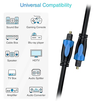 BlueRigger Digital Optical Audio Toslink Cable (100FT, Fiber Optic Cord)