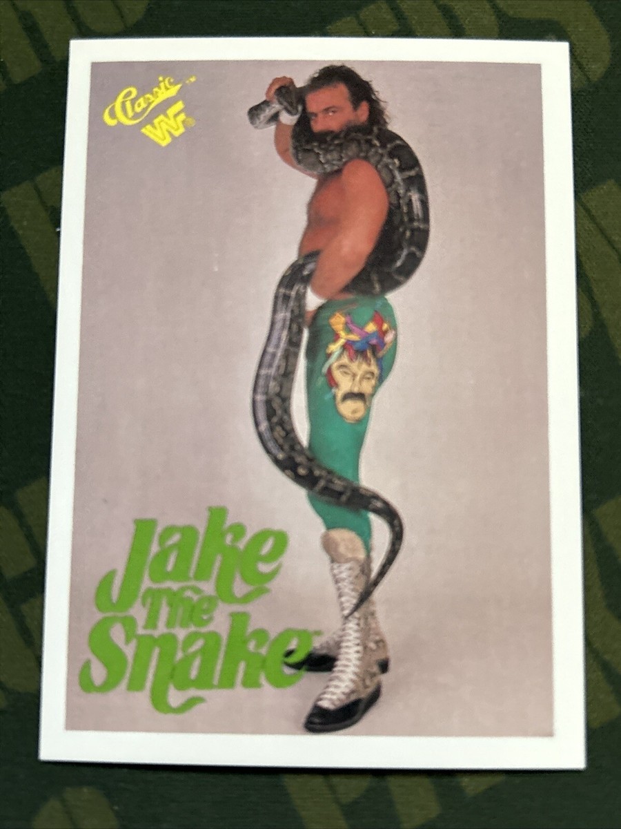 1990 Classic WWF Superstarz #7 Jake The Snake Roberts ￼ | eBay
