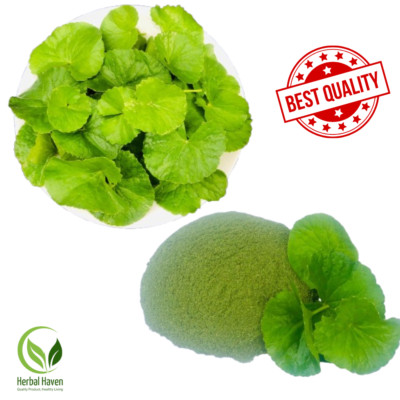 Getrocknete Gotu Kola Blätter gemahlen Pulver Bio Centella asiatica für das H...