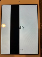 Apple iPad mini 16GB, Wi-Fi, white/gray. Cracked screen  lines display