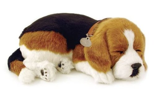 realistic lifelike puppies