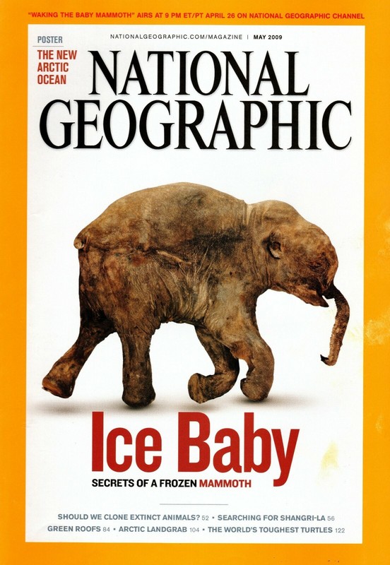 National Geographic Magazine - May 2009 - Ice Baby: Secrets of a Frozen Mammoth