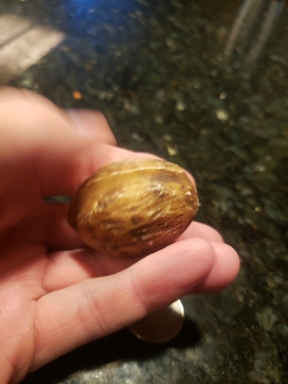 ANTIQUE LARGE WALNUT ALABASTER MARBLE STONE FRUIT OLD ITALIAN REALISTIC 