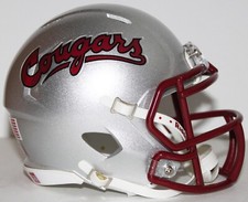 Minicasco Riddell personalizado 2010 Washington State Cougars vs Washington