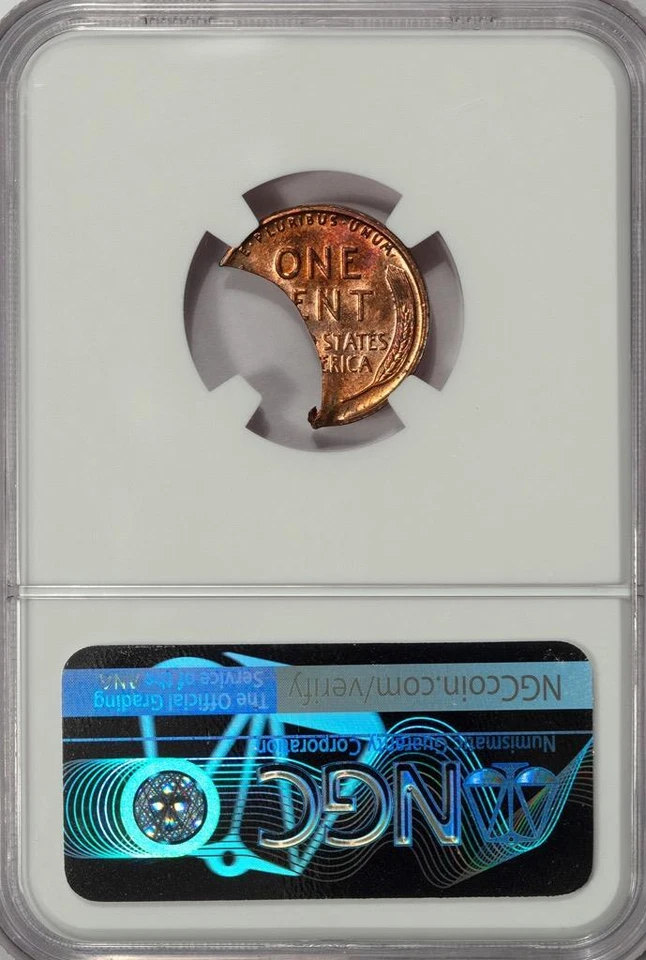 1955 NGC MS63RD Huge 45% Curved Clip 1.8 Gram Wheat Cent Mint Error Super Rare - Image 4 of 4