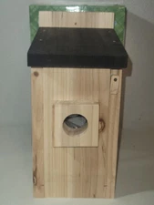 LASTOOLS Smart Bird House with Solar-Powered 4MP Camera – Outdoor Birdwatching