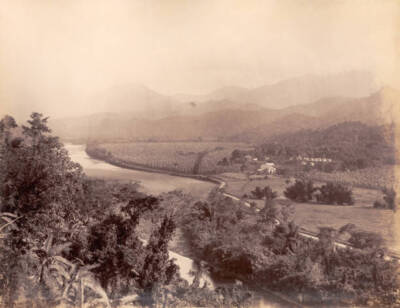 Banana Estate - Golden Vale - Port Antonio Jamaica West Indies In 1891 OLD PHOTO