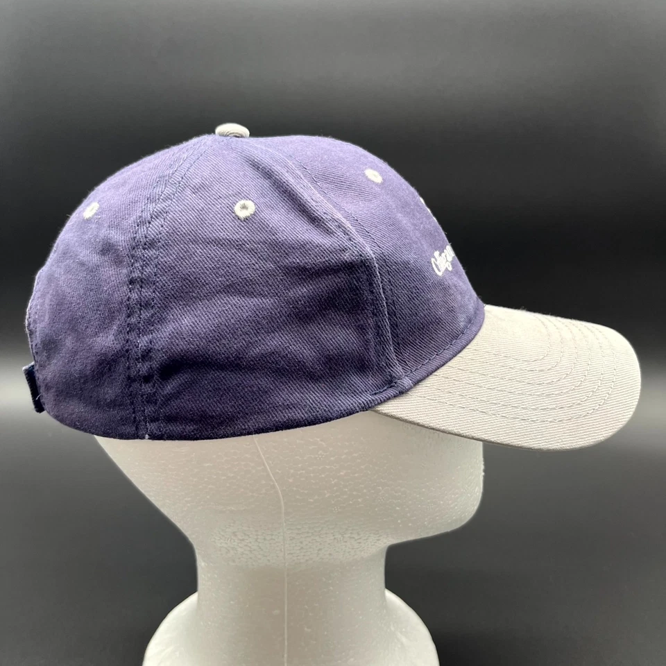 Gorra de béisbol Culligan Management Otto para hombre OS azul bordado con correa Foto 3 de 4