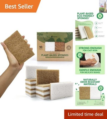 Nachhaltige 6er Pack Naturschwämme für umweltfreundliche Küche & Bad