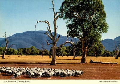 Australian countryside, E. Ludwig, John Hinde Studios, Biscay Postcard