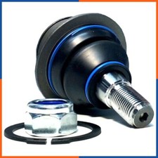 Traggelenk vorne unten für FORD | 041513B, 041536B, SJ2303