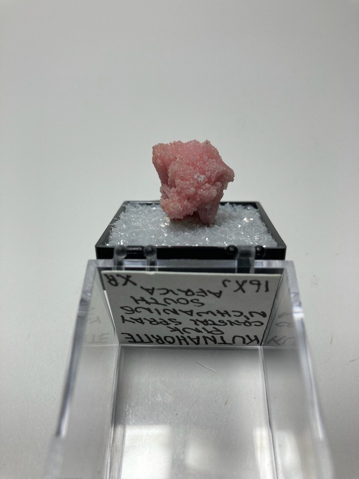 Kutnohorite vibrant pink crystal spray from South Africa eBay