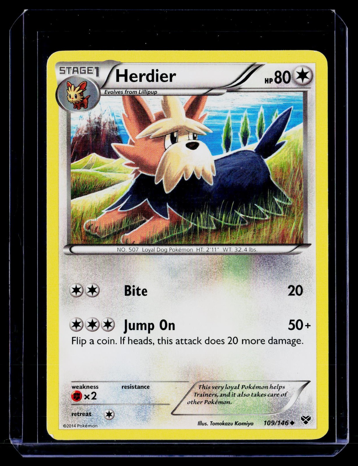 XY Base Set #109/146 Herdier P24