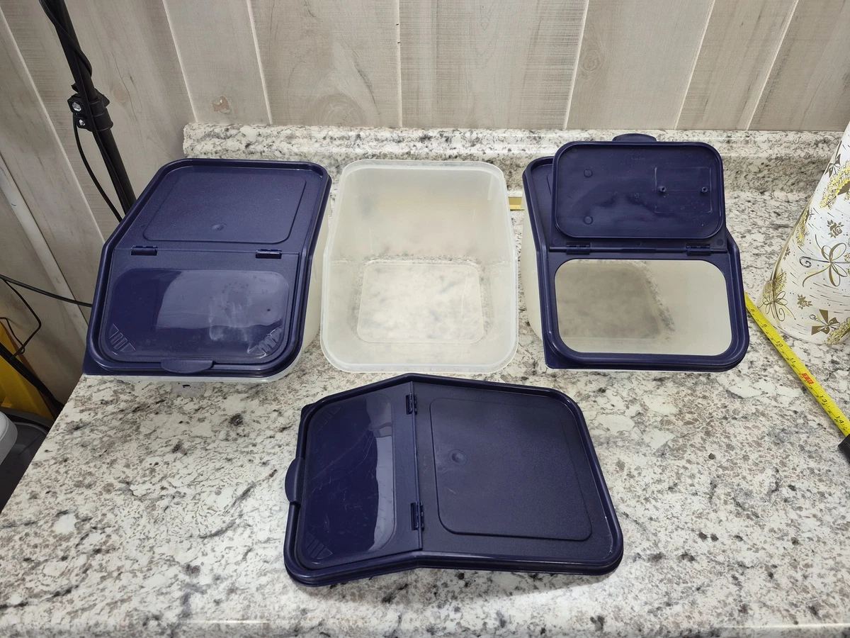 Cestas De Almacenamiento Grandes Resistentes Pack De 4 Color | Meses