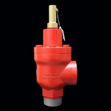 Taylor Valve 825J10211312 Safety Relief Valve 2" 550 PSIG 14273 SCFM T-8250-S