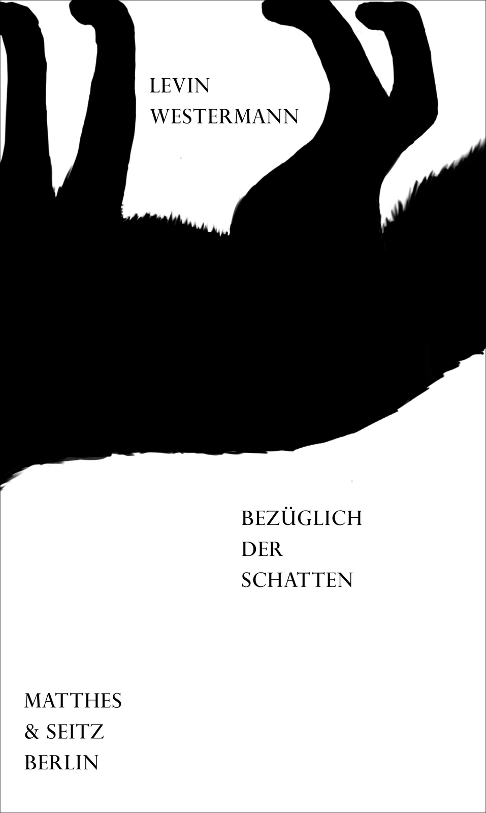 Thumbnail - Bezüglich Der Schatten Levin Westermann