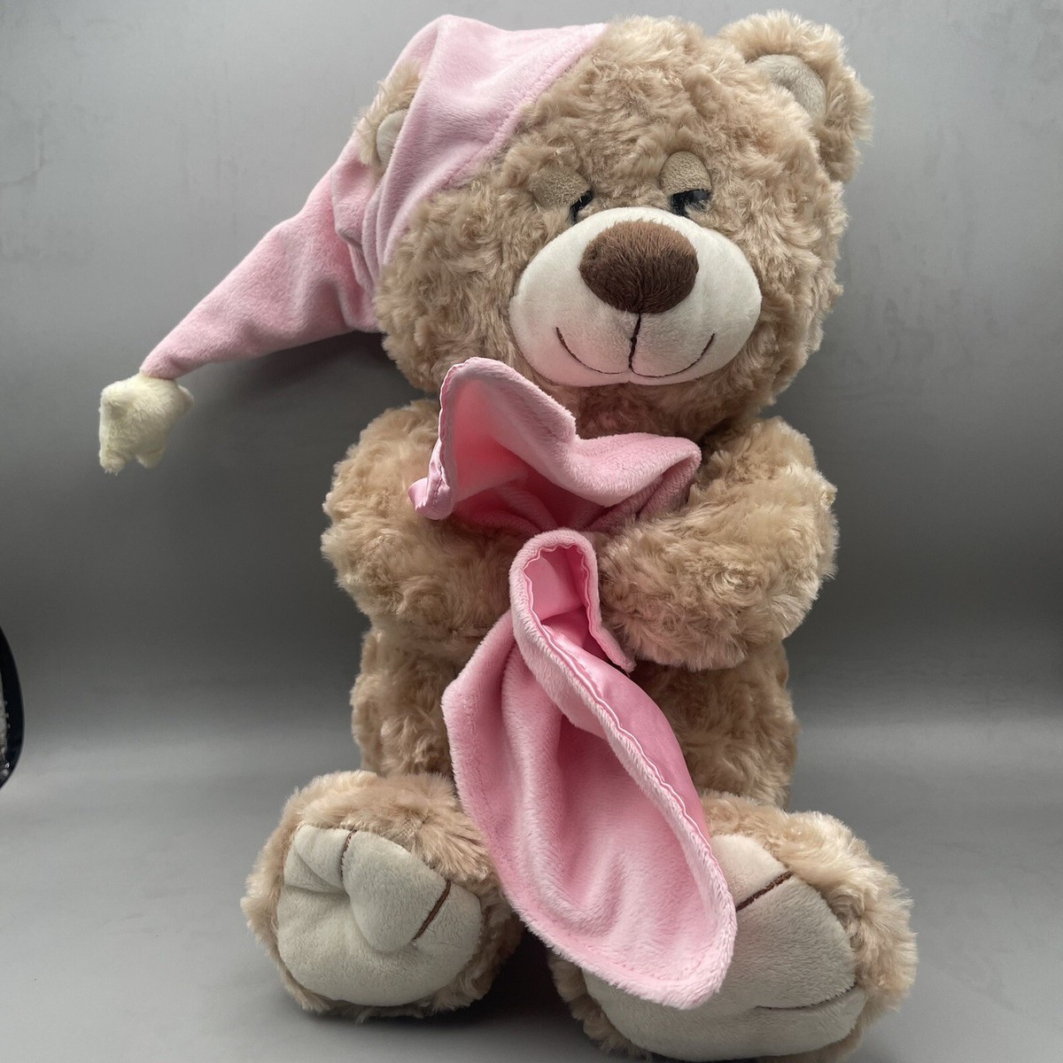 Toys R Us Teddy Bear Plush Pink Lovey Blanket Stuffed Animal Sleepy Bed Time
