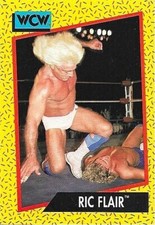1991 Impel WCW #41 Ric Flair  Wrestling Card