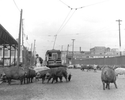 Intersection of Morgan Street and Pershing Road, Chicago 1946 Photo