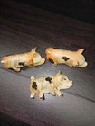 Foto 2 di 6