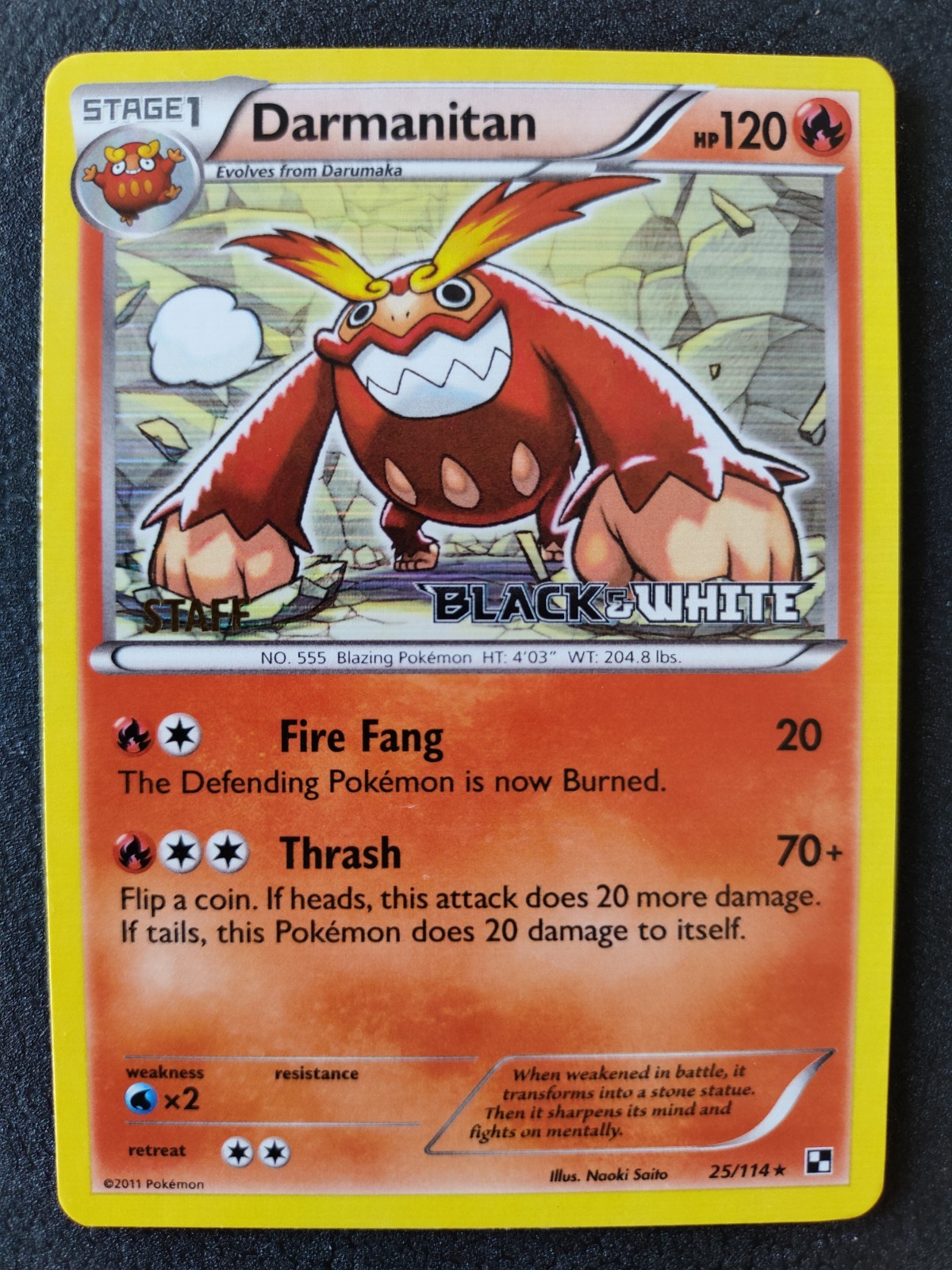 Pokemon Darmanitan  Staff Prerelease Promo Holo  Black & White   25/114 NM Card