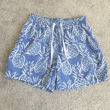 Chubbies Mens 5.5" Classic Swim Trunk Pineapple Tropical Shorts Lined -Small