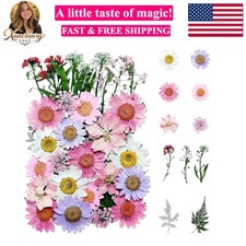 37PCS Real Pressed Flowers, Dried Flowers for Resin Crafts, Bookmark Resin Sc...