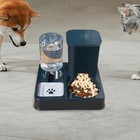 Cat Feeder and Water Dispenser Automatic Cat Feeder