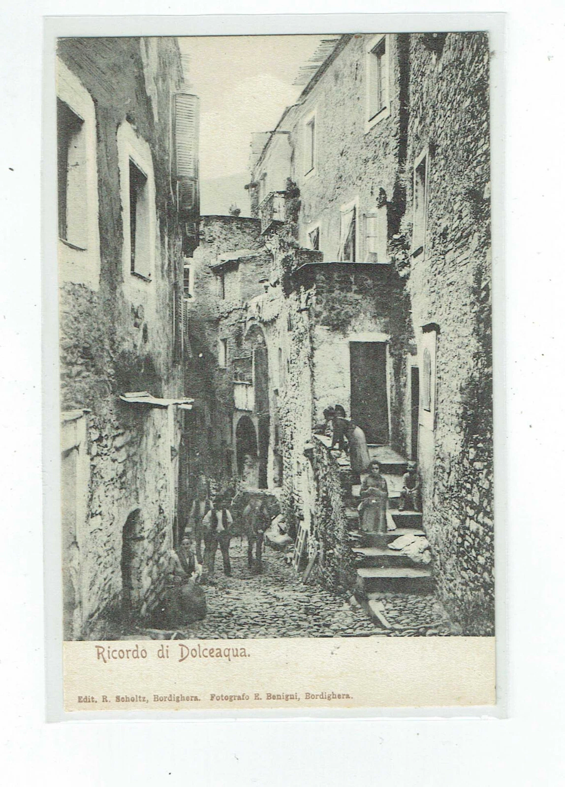 Photo 1/1