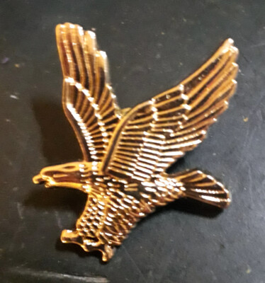 Anstecker Adler Indianer Biker Western Pin Eagle go