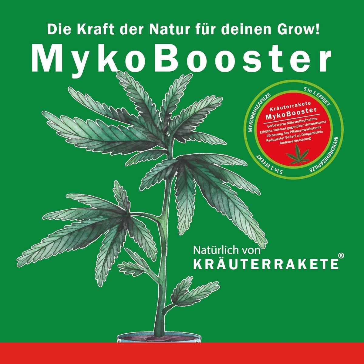 kann man erdbeeren mit hornspäne düngen Erdbeer Dünger main image 1