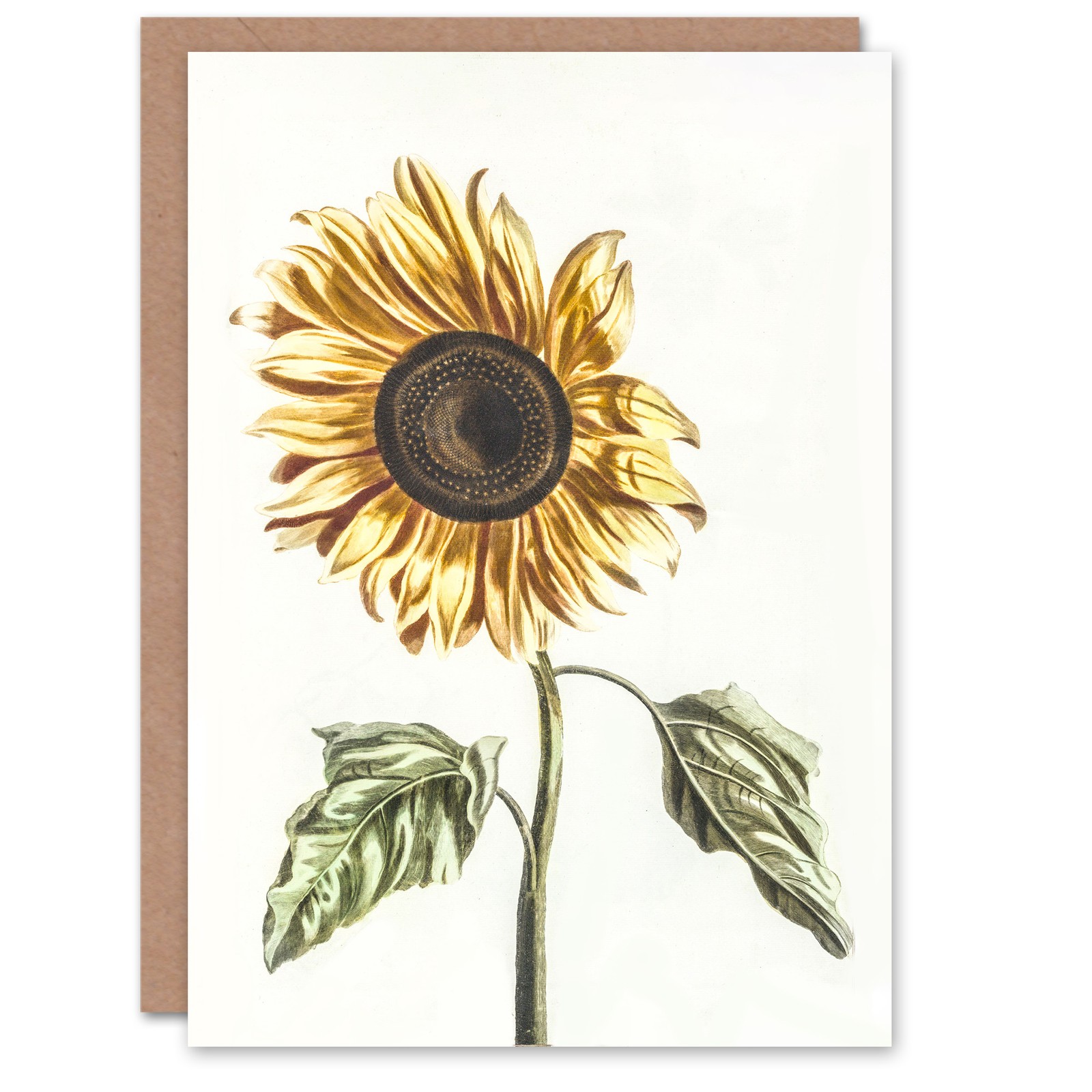 Johan Teyler Art Card Sunflower Vintage Flower Painting Blank Greeting Card