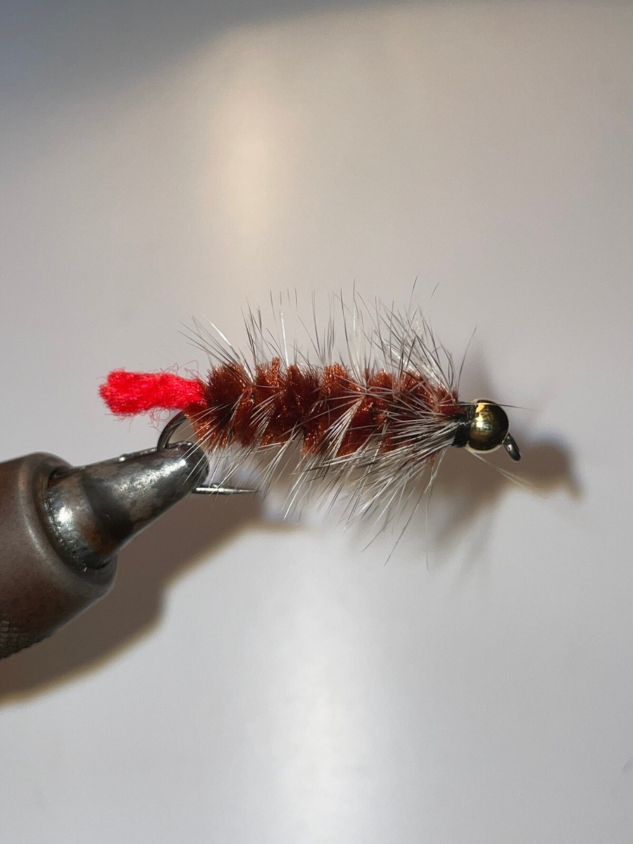 1/2 Dozen Bead Head Brown Woolly Worm Fishing Flys