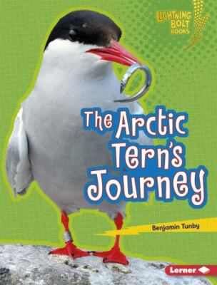 The Arctic Tern's Journey by Tunby, Benjamin