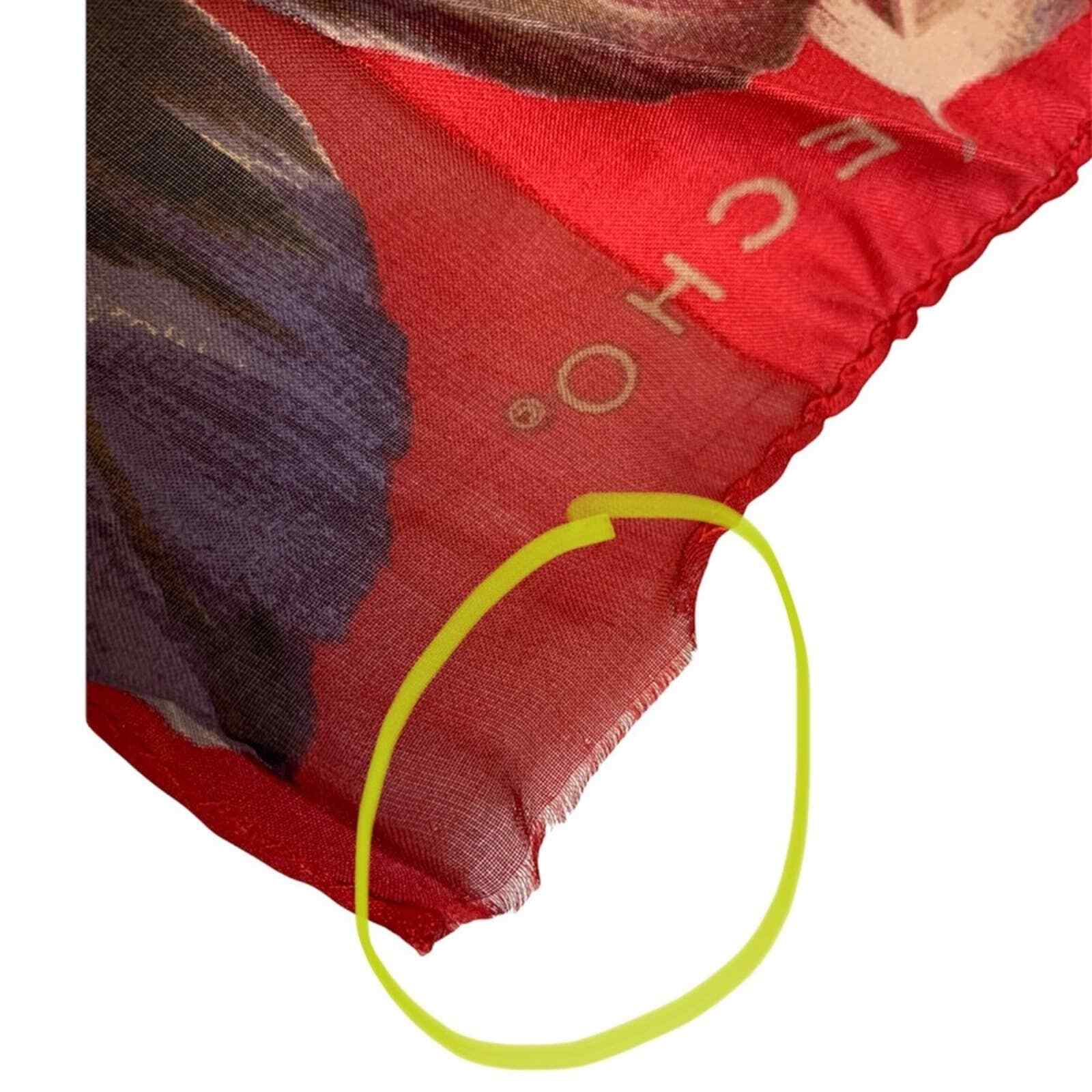 Echo Printed Scarf - image 5