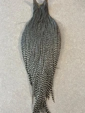 Michigan Grizzly Hackle Capes