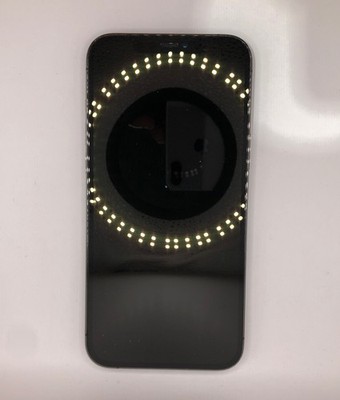 Apple iPhone 12 Pro Max   256GB   Graphite   Unlocked (Face ID Not Working)
