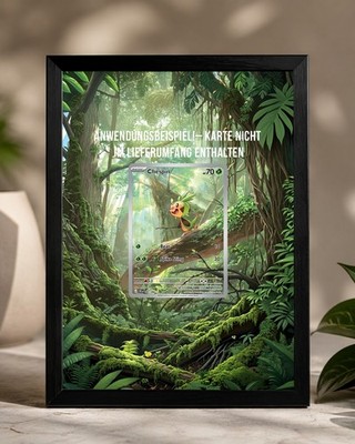 Extended Art Display Rahmen für Trading Card Games | Custom TCG Zubehör Schwarze