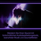 Bild 7 von 8