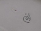 Bild 8 von 11