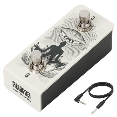 Anima Dual Footswitch Pedal - Dual Momentary TRS Footswitch Controller for Gu...