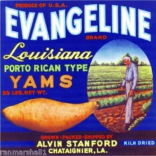 Chataignier Louisiana Evangeline Yams Sweet Potato Yam Crate Label Art Print