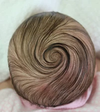 Reborn Rooting Tutorial for Professional Baby Doll Hair Instructions PDF