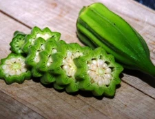 100+ Star Of David Okra Seeds - Old World Variety - HEIRLOOM - ORGANIC - NON GMO