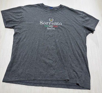 Italy Sorrento Italia Comfort T-Shirt Gray Embroidered Women s XXL 753