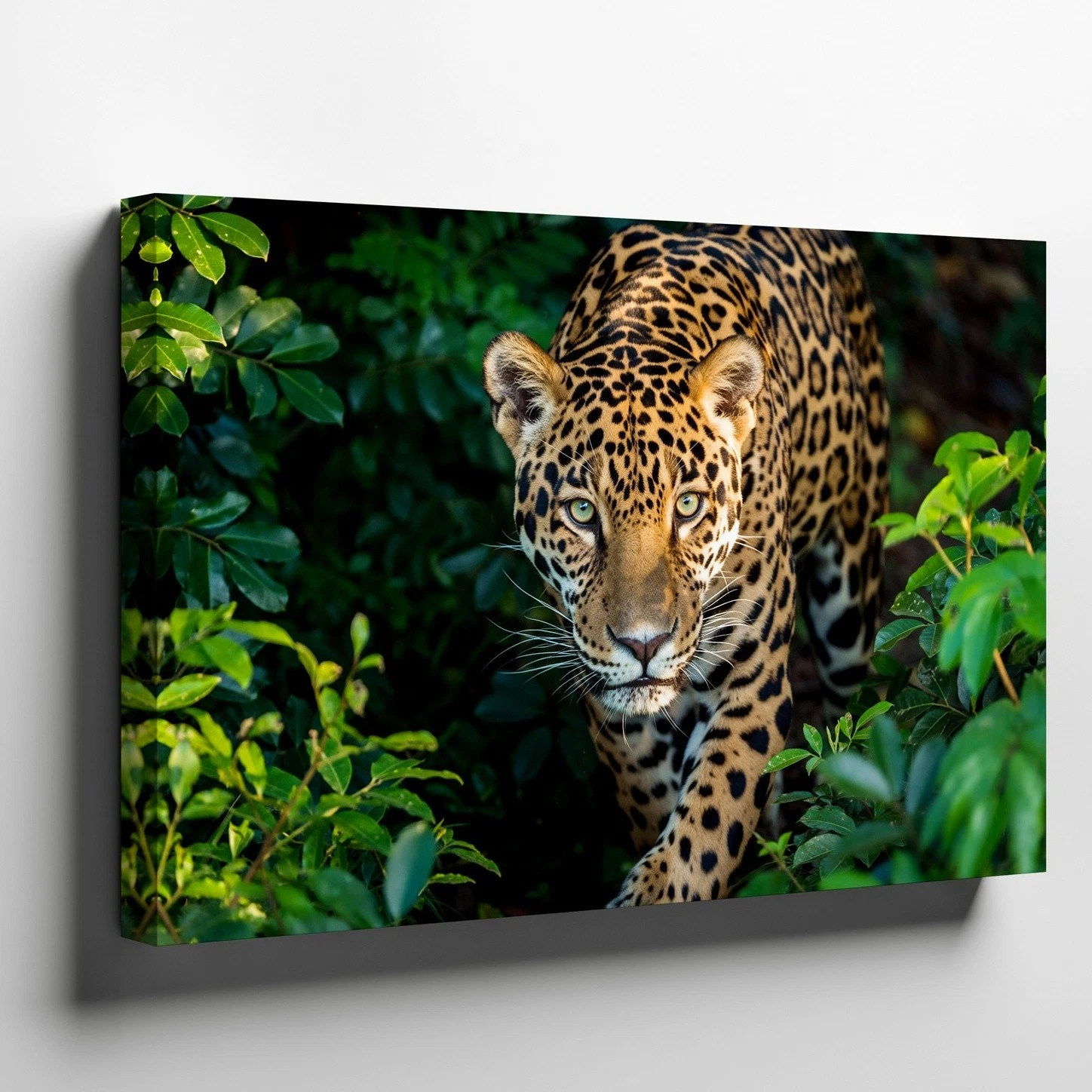 Wall Art Close-up View Of A Majestic Jaguar Prowling Through A Dense Jungle
Opens in a new window or