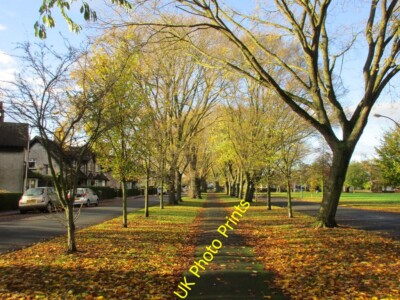 Foto 6x4 Elm Avenue Kingston upon Hull nur wenige Tage danach [[4718713]] um 2015