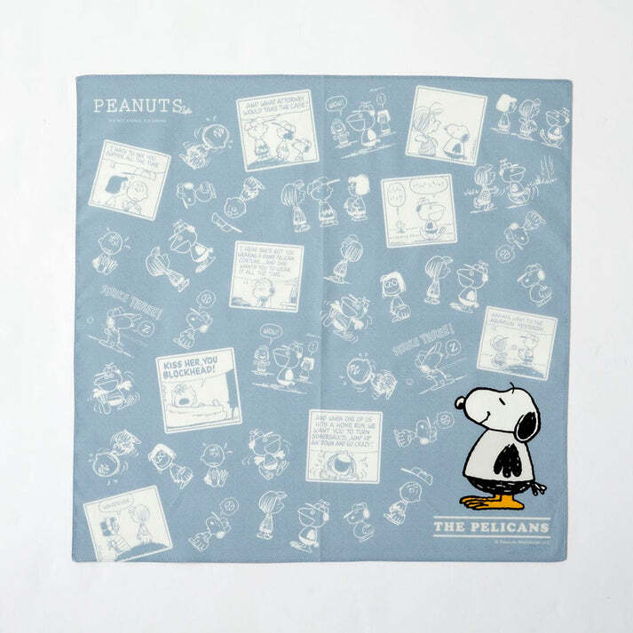 サボテン SNOOPY Peanuts SNOOPY Suitcase Carry Bag MINT 32L H55cm Travel Japan